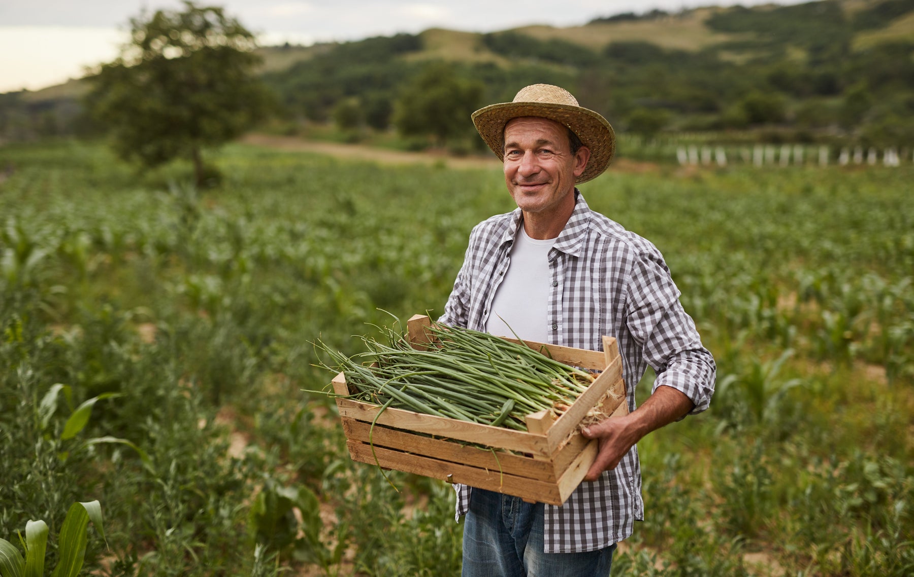 Overcoming Seasonal Challenges in Farm Weighing