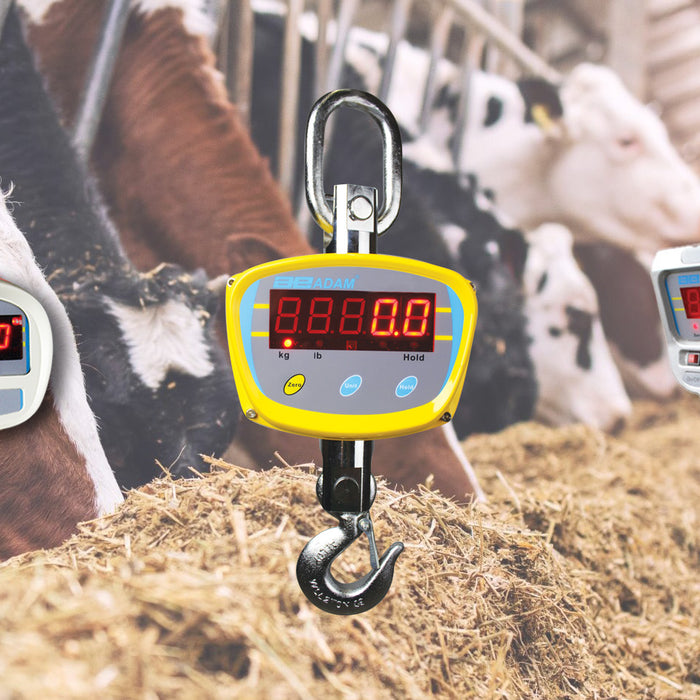 Scaletec’s Guide to Hanging Scales