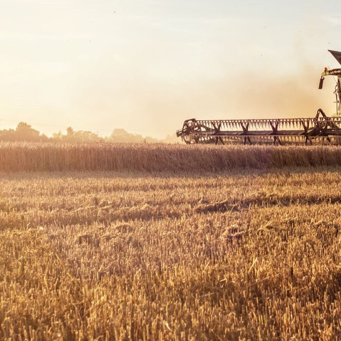 Harvest Season Scaletec