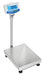 GFK-Plus Floor Checkweighing Scales Adam Equipment